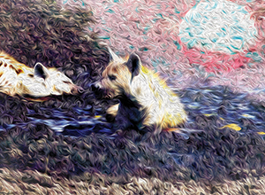 hyenarv